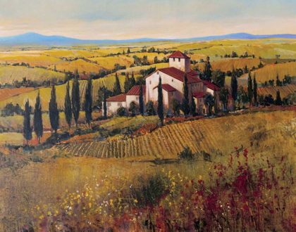 Picture of TUSCANY III