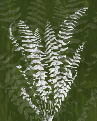 Picture of JEWEL FERNS I
