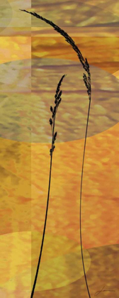 Picture of SUNSET DUET II