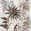 Picture of WALLFLOWER II