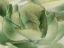 Picture of PETAL I