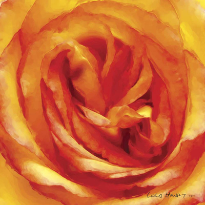 Picture of PAINTERLY FLOWER I
