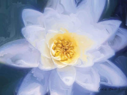 Picture of PAINTERLY FLOWER III