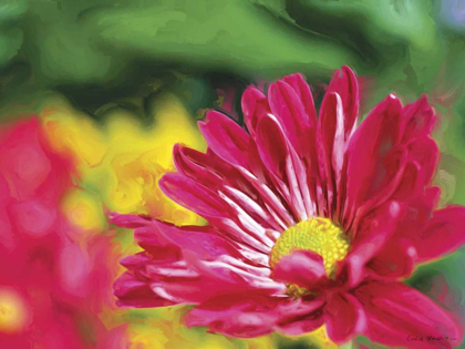 Picture of PAINTERLY FLOWER VI