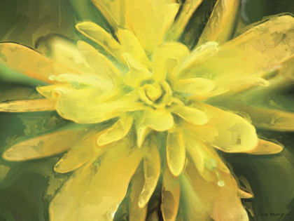 Picture of PAINTERLY FLOWER VII