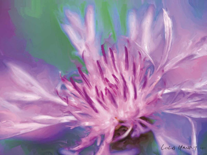 Picture of PAINTERLY FLOWER VIII