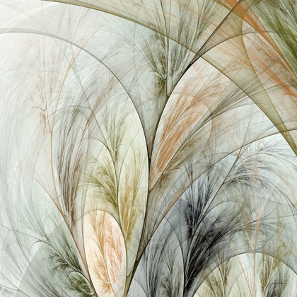 Picture of FRACTAL GRASS V