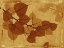 Picture of GHOST LEAVES I