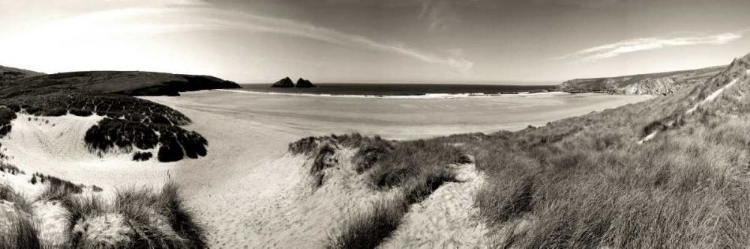 Picture of THE WIND IN THE DUNES II