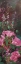 Picture of PINK AZALEA GARDEN II