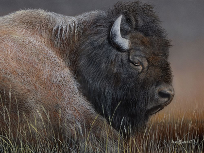 Picture of AMERICAN ICON- BISON
