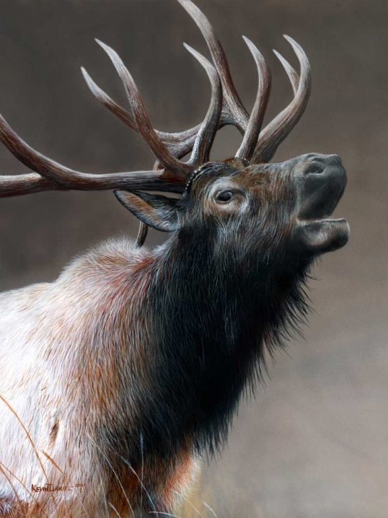 Picture of AMERICAN ICON - ELK