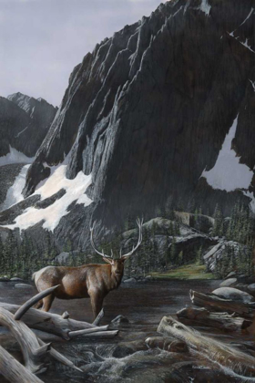 Picture of MOUNTAINSIDE ELK I