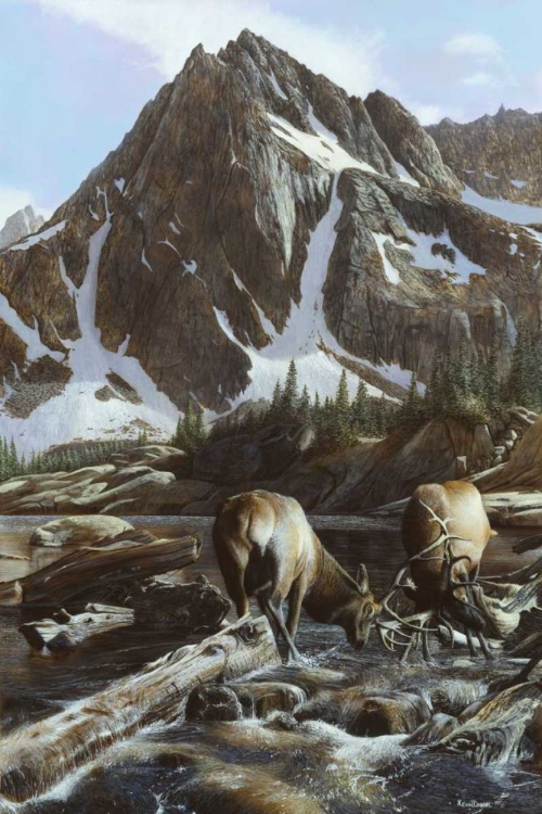 Picture of MOUNTAINSIDE ELK II