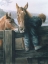 Picture of GRANDPAS FARM