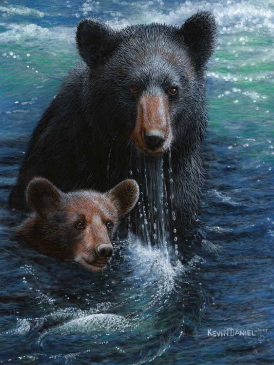 Picture of BEARLY SWIMMING