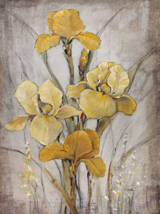 Picture of GOLDEN IRISES I