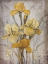 Picture of GOLDEN IRISES I