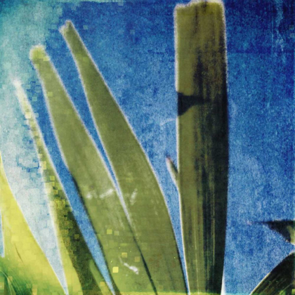 Picture of TROPICAL MEMORY II
