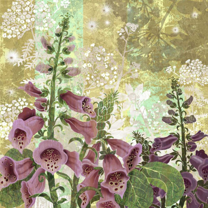 Picture of FOXGLOVE MEADOW I