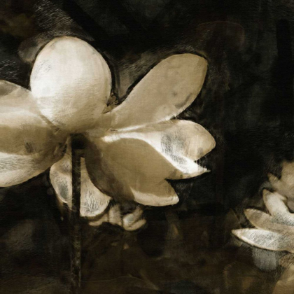 Picture of BRONZE LILY II
