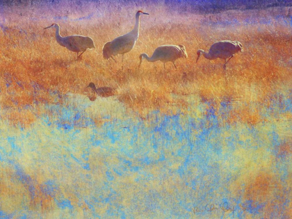 Picture of CRANES IN SOFT MIST