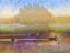Picture of DUCKS IN SOFT MIST
