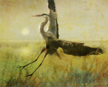 Picture of FOGGY HERON II