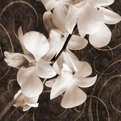 Picture of ORCHID AND SWIRLS I