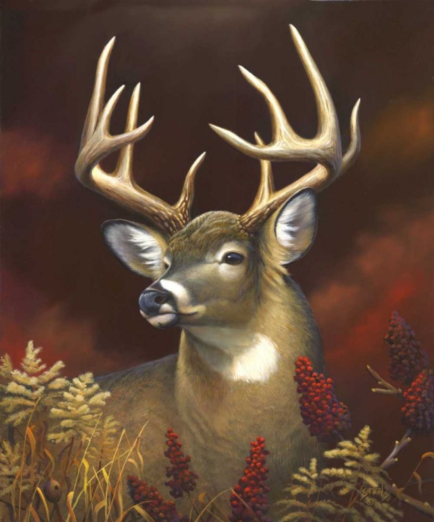 Picture of DEER PORTRAIT