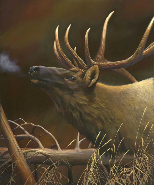 Picture of ELK PORTRAIT I