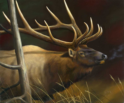 Picture of ELK PORTRAIT II