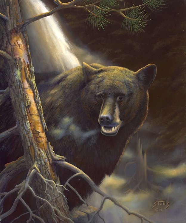 Picture of BEAR PORTRAIT