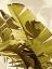 Picture of PALM FRONDS I