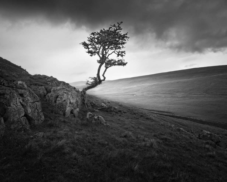 Picture of OUTCROP