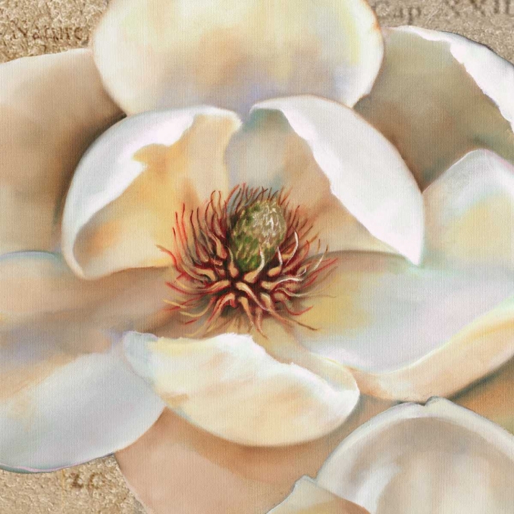 Picture of MAGNOLIA MASTERPIECE II