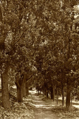 Picture of ROAD TO GIVERNY