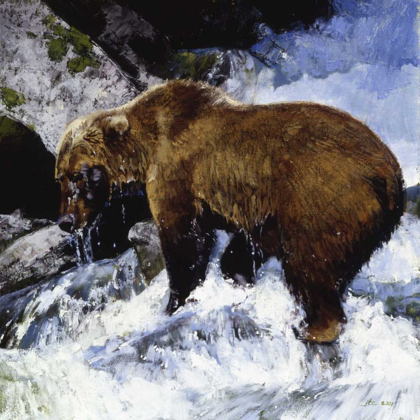 Picture of KATMAI CASCADE