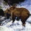 Picture of KATMAI CASCADE