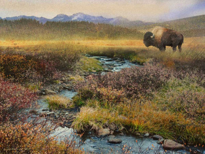 Picture of BISON AND CREEK