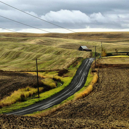 Picture of THE ROAD HOME