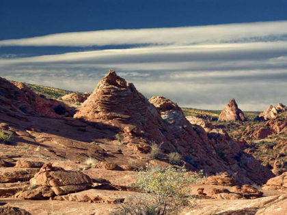 Picture of COYOTE BUTTES