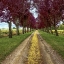 Picture of APPROACH