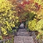 Picture of AUTUMN TUNNEL