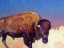 Picture of ANCIENT WISDOM