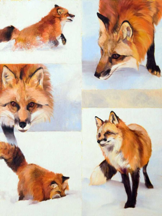 Picture of VULPES V