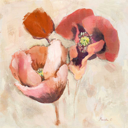 Picture of PAINTED POPPIES