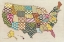 Picture of UNITED PATTERNS