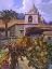 Picture of VINEYARD AT SAN MIGUEL