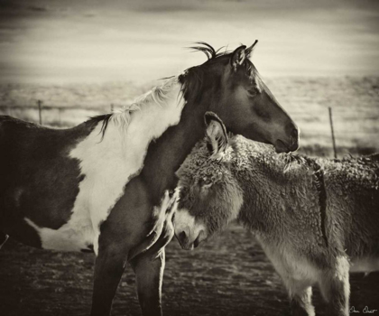 Picture of KISSING HORSES II